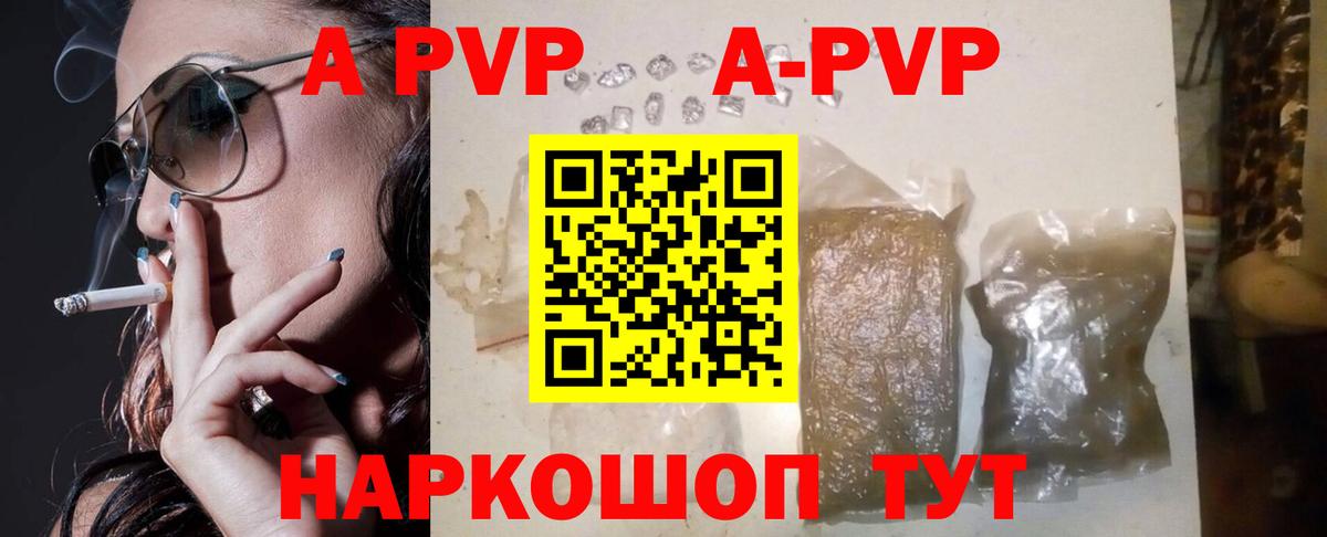 Альфа ПВП СК КРИС Беслан