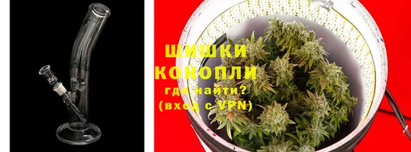 дурь Горнозаводск