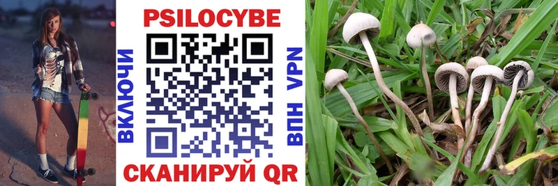наркошоп  Беслан  Галлюциногенные грибы Psilocybine cubensis 